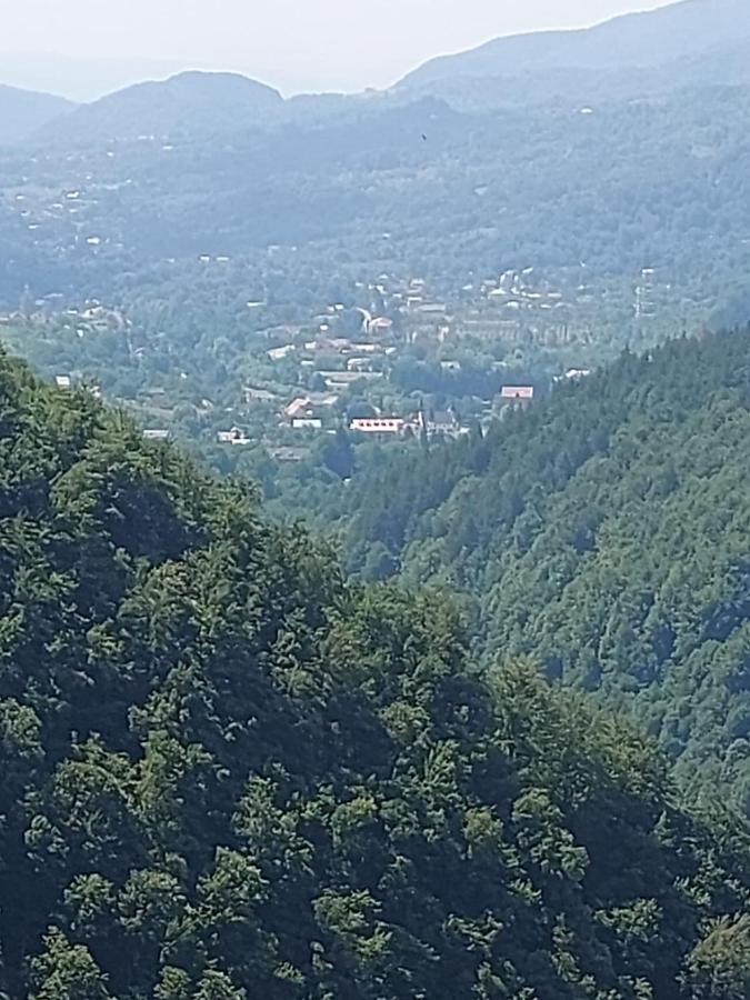 Apartament Ovo Sinaia Extérieur photo