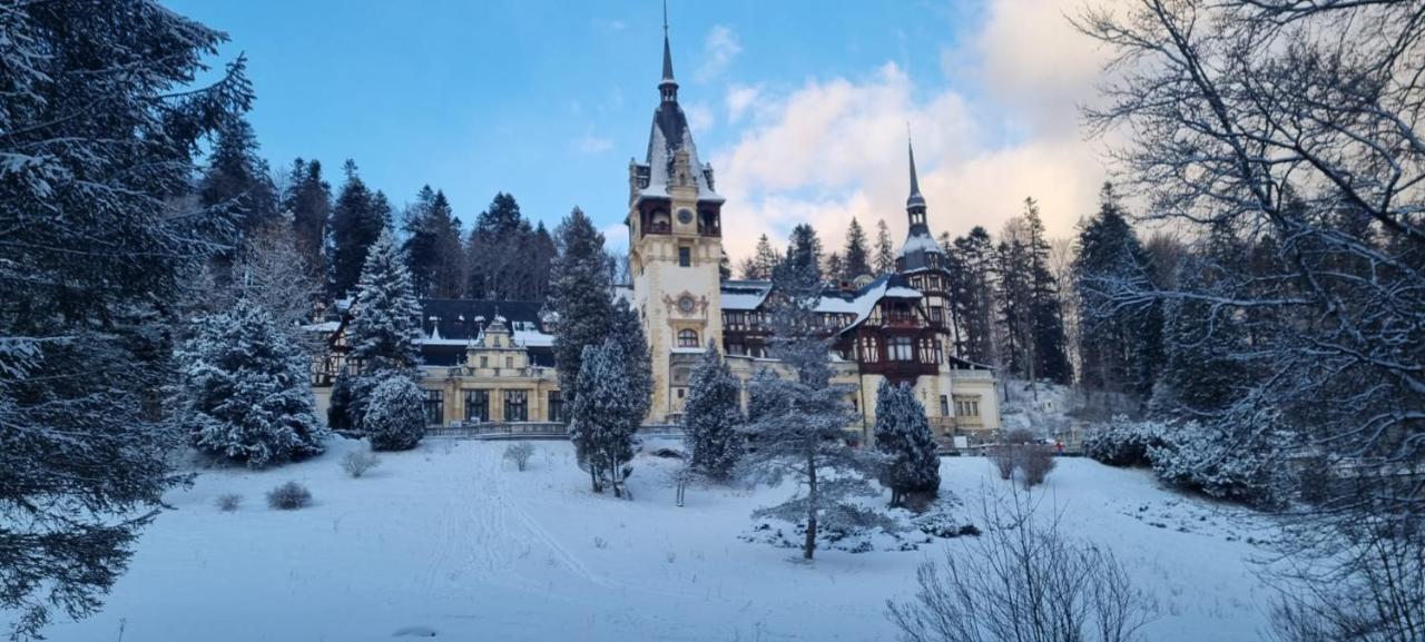 Apartament Ovo Sinaia Extérieur photo