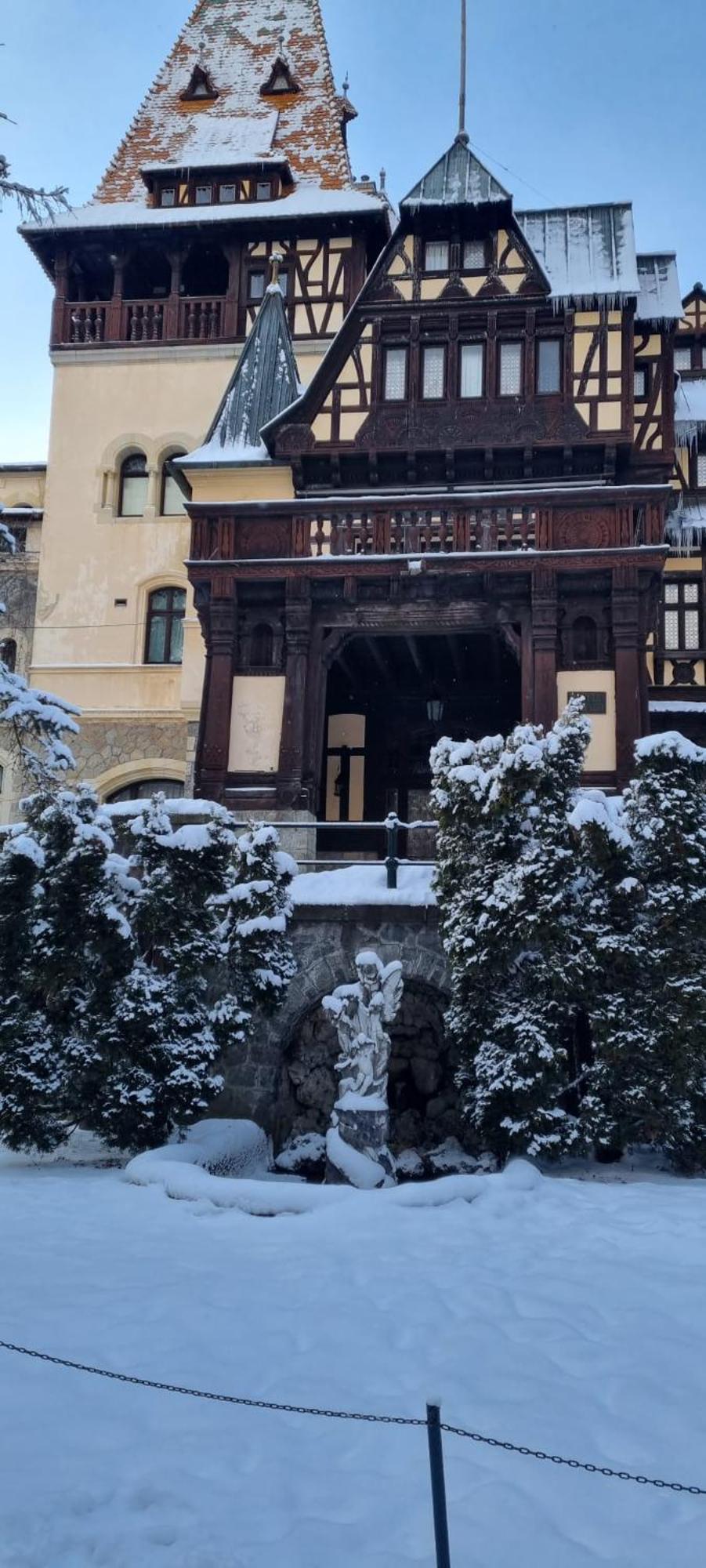 Apartament Ovo Sinaia Extérieur photo