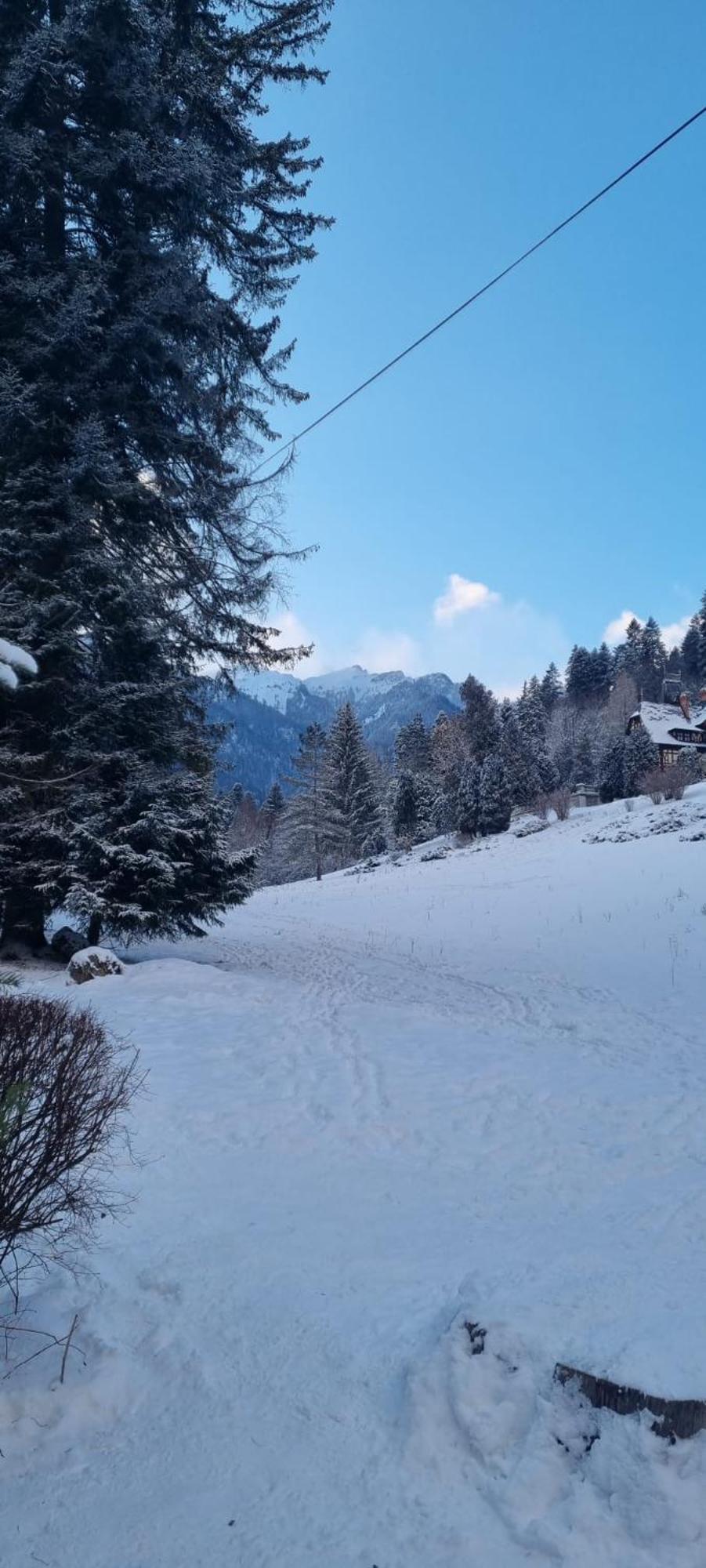 Apartament Ovo Sinaia Extérieur photo